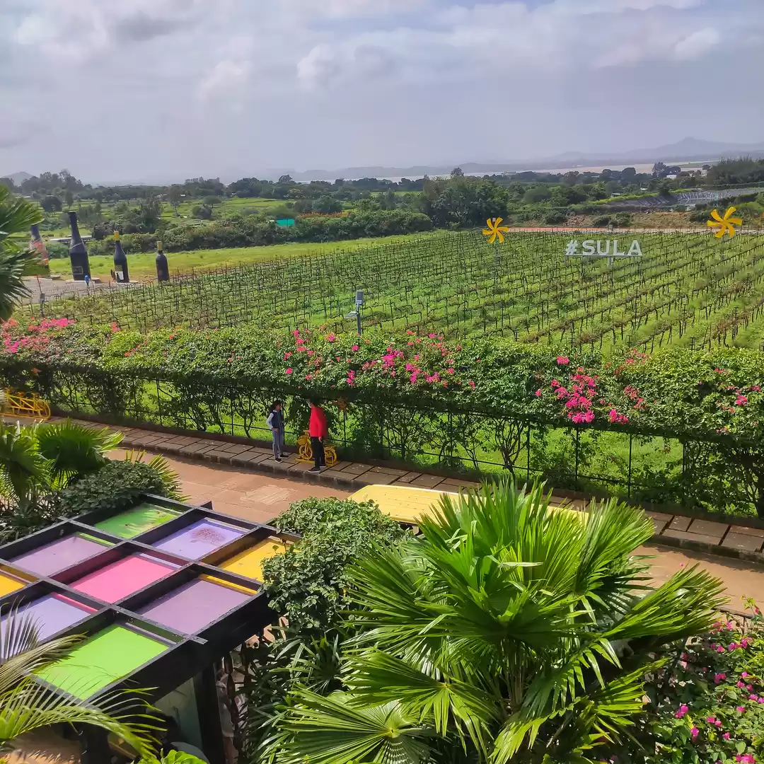 Photo of A day in Sula Vineya