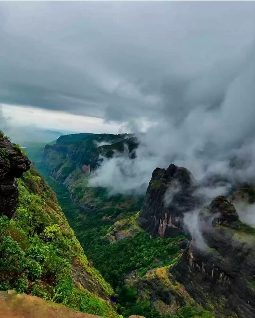 Photo of 4 years later, I rea