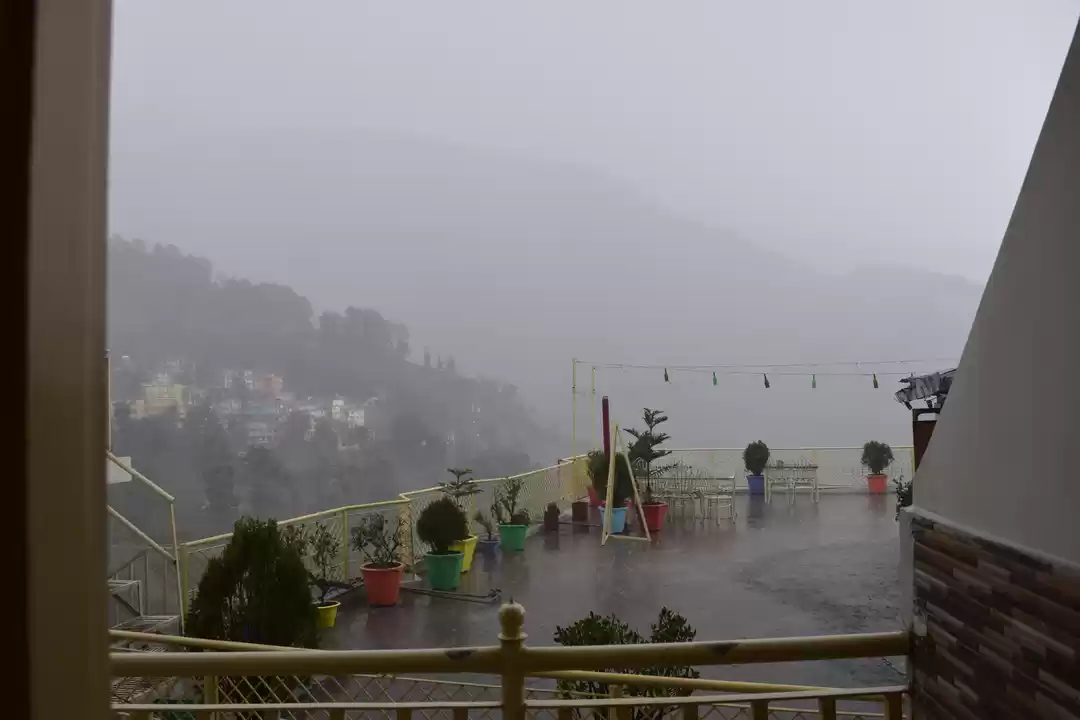 Photo of Why Does Everyone Wa