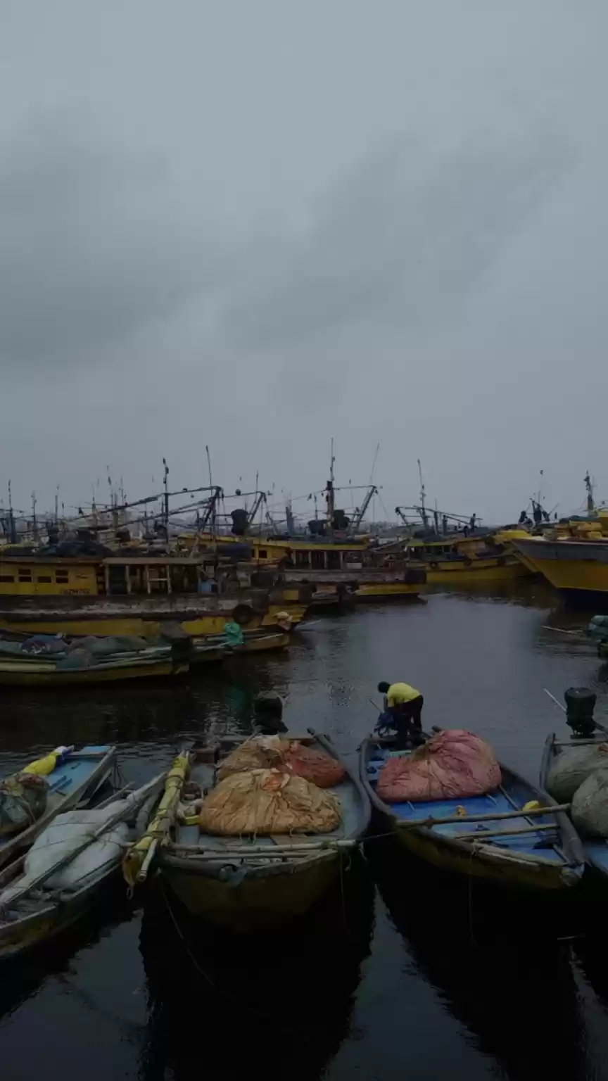 Photo of Visakhapatanam Fishi