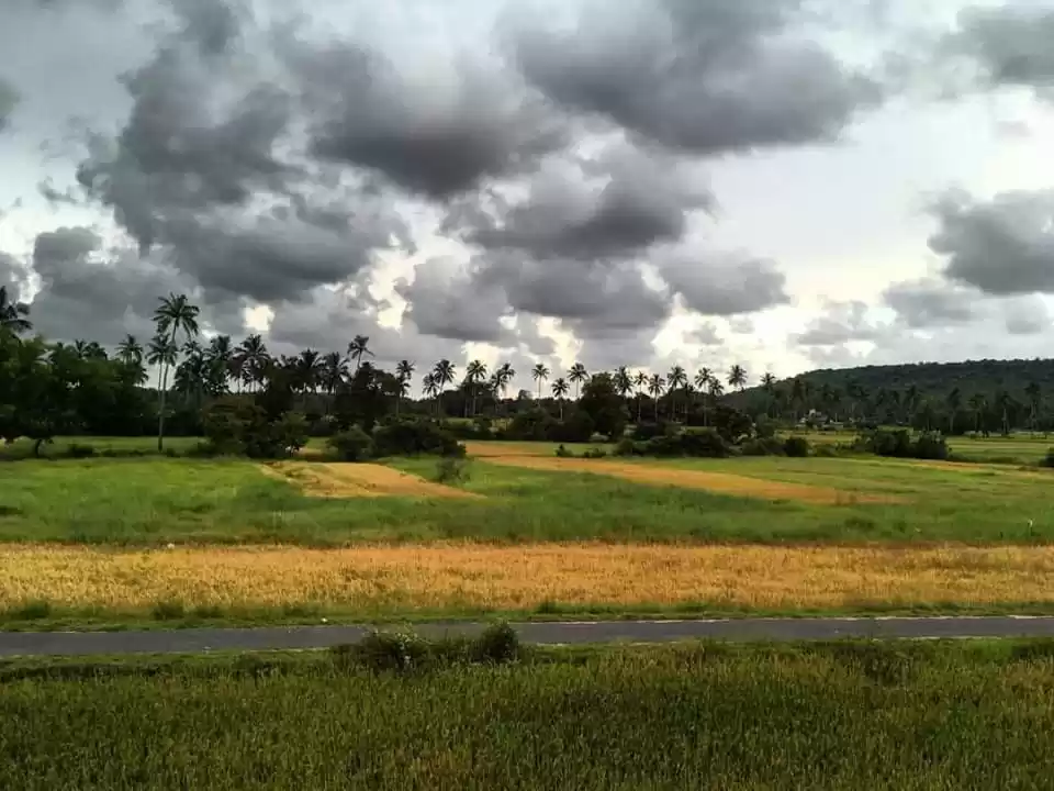 Photo of The Real Face of Goa