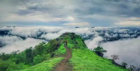 Photo of THE INCREDABLE KOHOJ