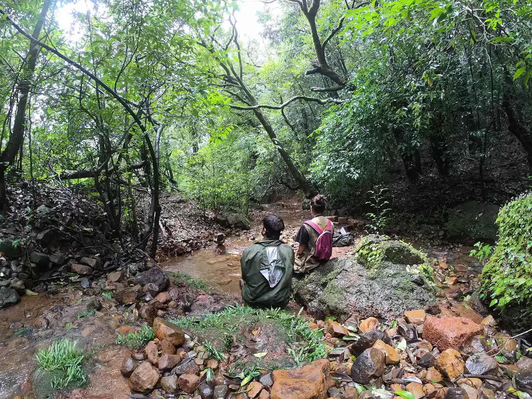 Photo of Herping Trail- AMBOL