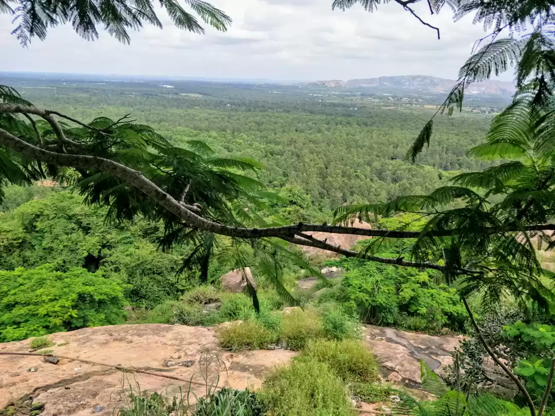 Photo of Chhota Laddakh & Mar