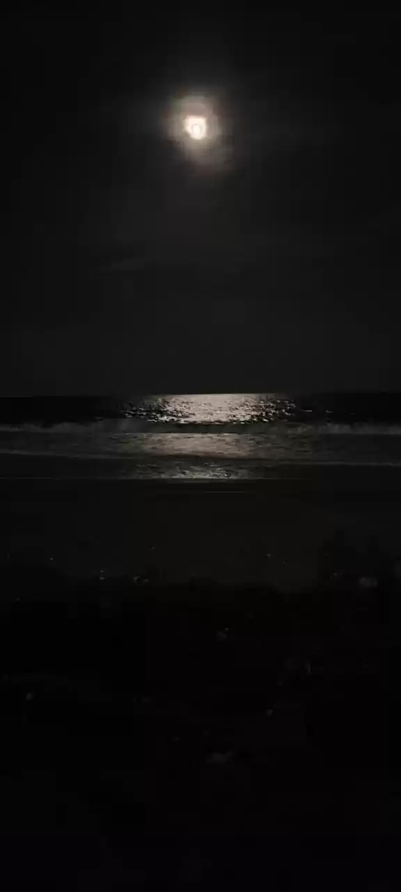 Photo of Full moon night