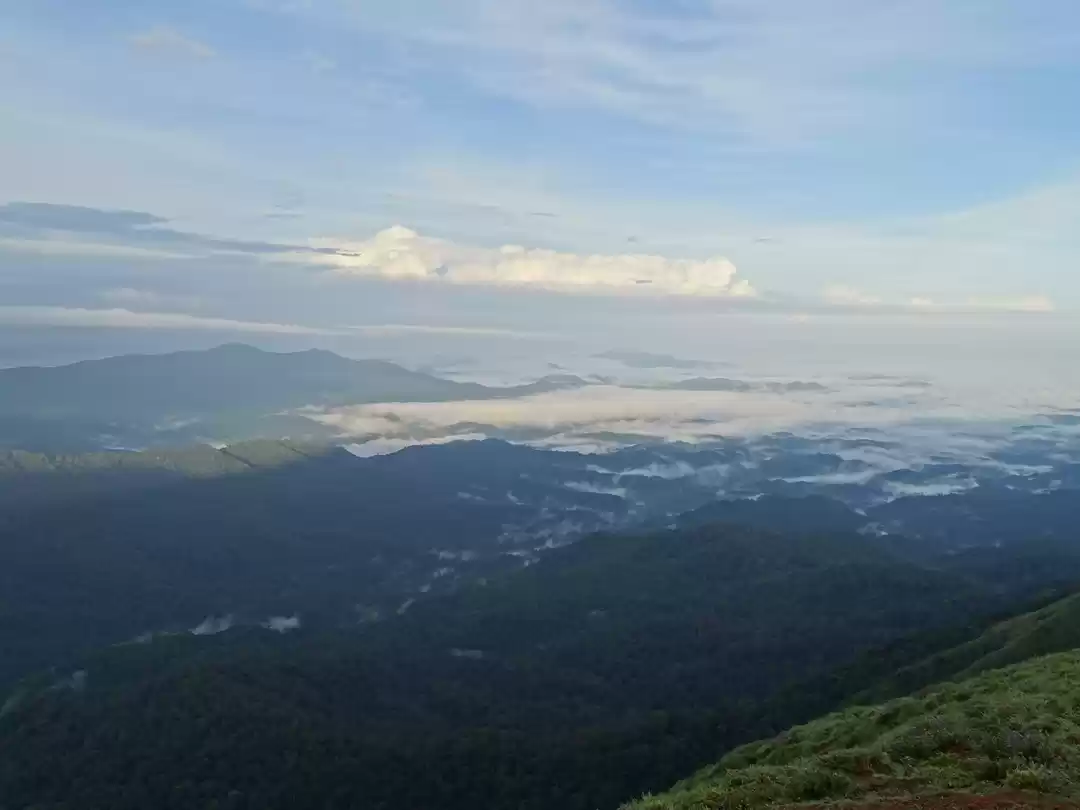 Photo of Into the wildest nat