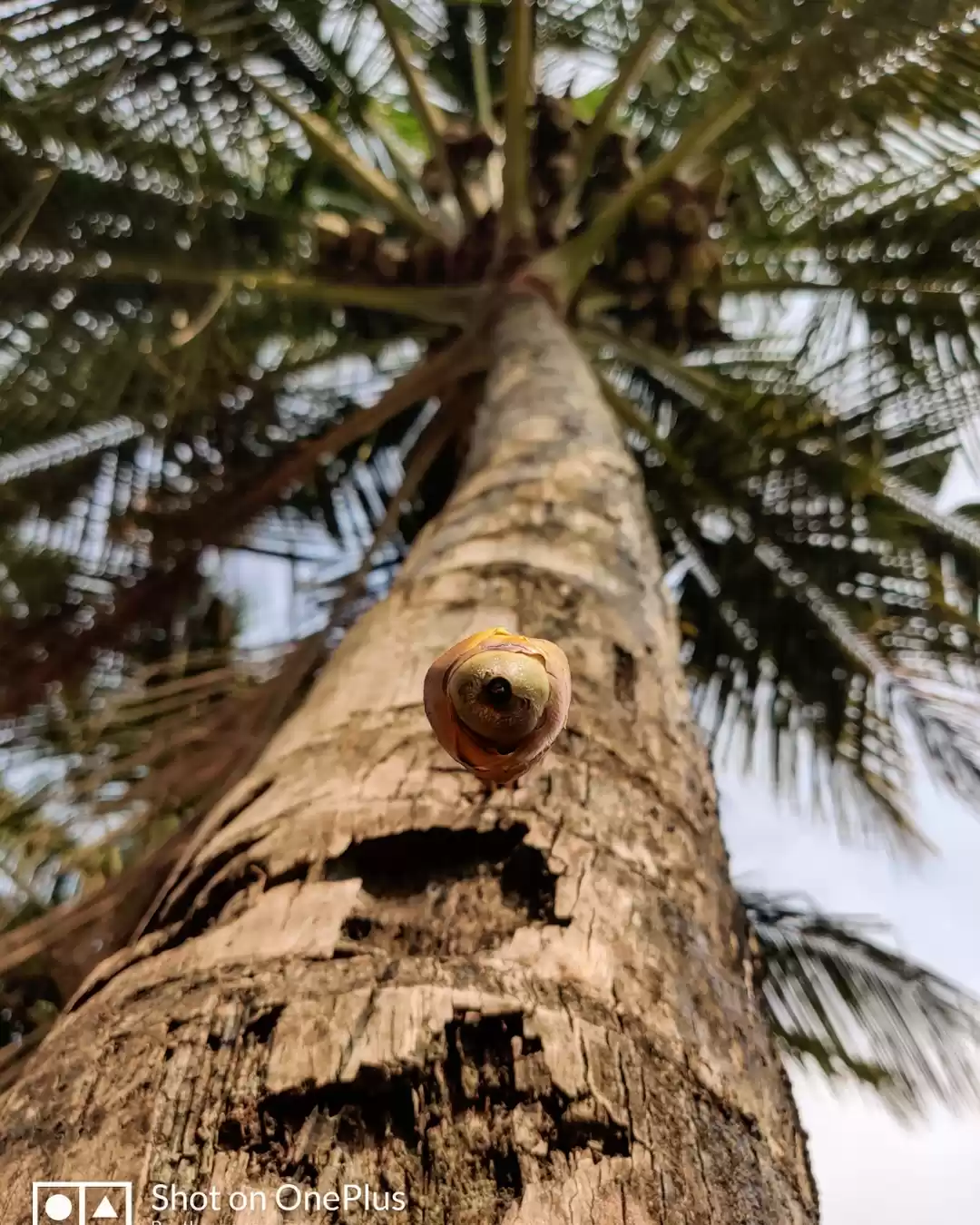 Photo of Copy #nature #photo