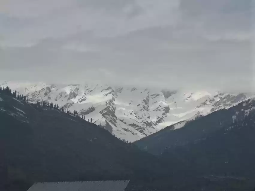 Photo of Not your usual Manal