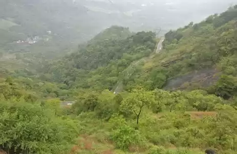 Photo of Falling in love with