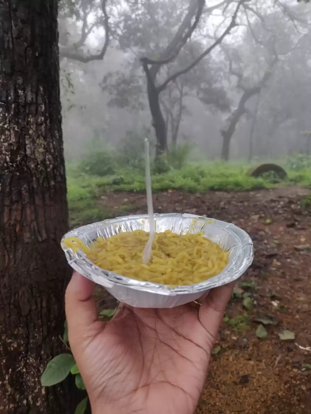 Photo of Maggie at Dhoopgarh