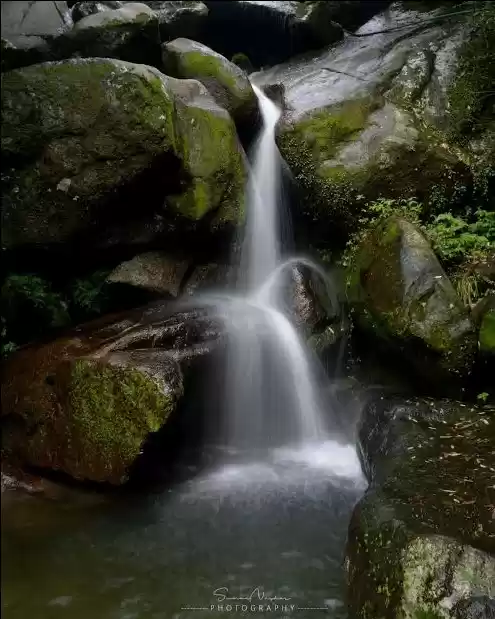 Photo of #Panchpula, Dalhousi