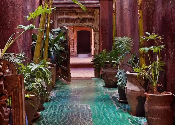 Photo of #GARDEN OF FIVE SENS