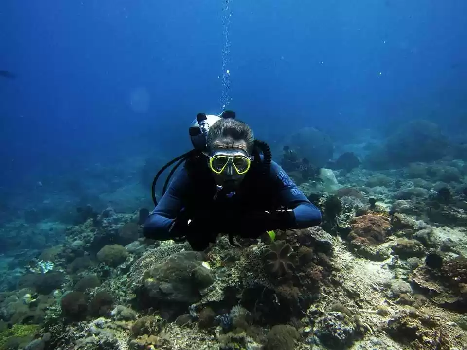 Photo of A. Scuba Diving in H