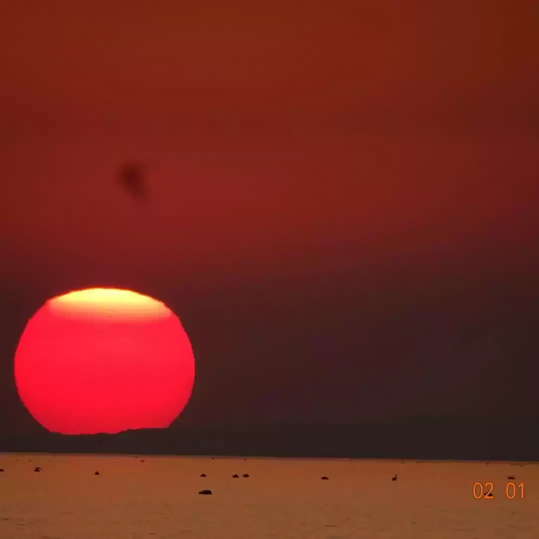 Photo of Experience this magn