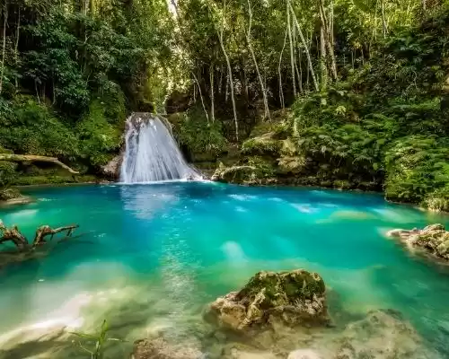 Photo of Jamaica's Most Beaut