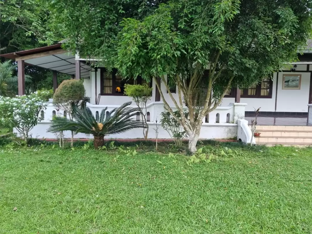 Photo of Visit to Upper Assam