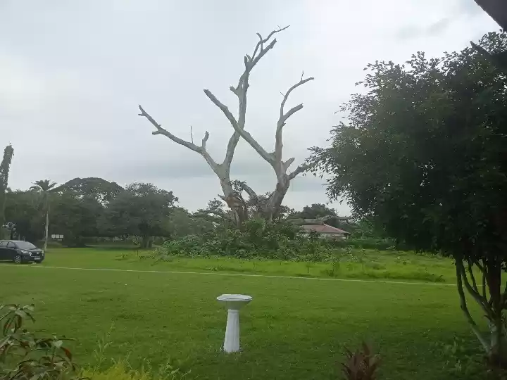 Photo of Beautiful bunglow in