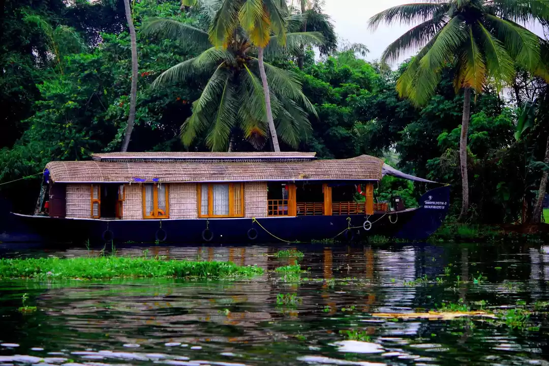 Photo of Kerala - All about n