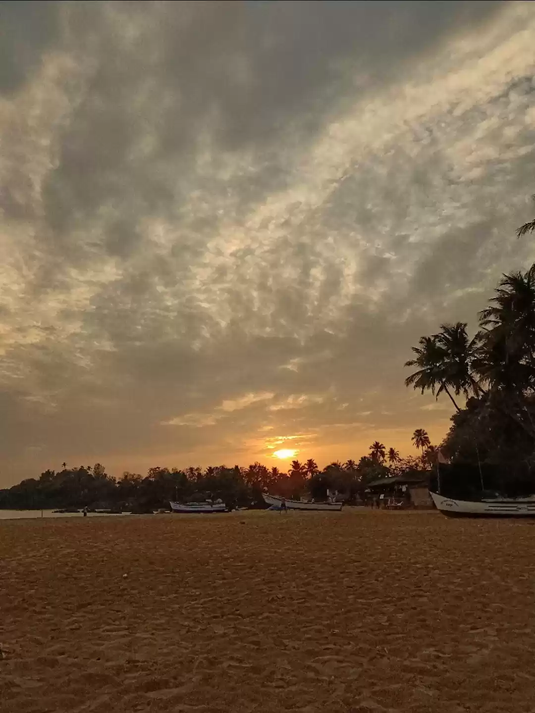 Photo of Beautiful sunset vie