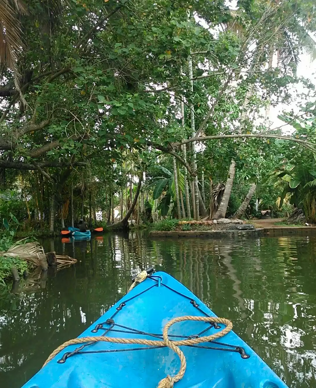 Photo of 8 Hours of life.