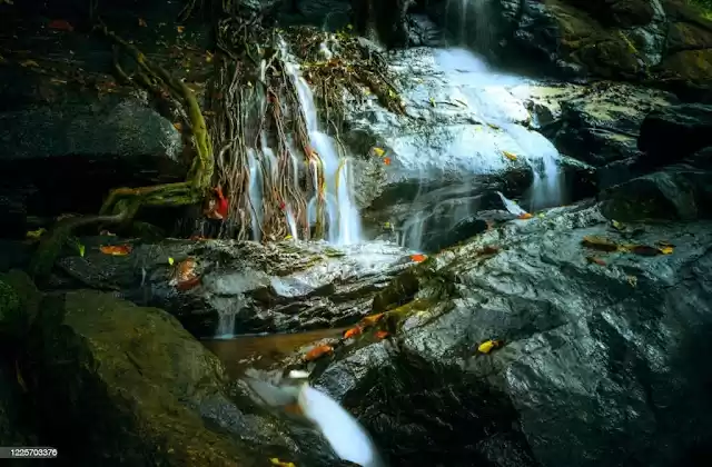 Photo of Kiliyur Falls: Unrav