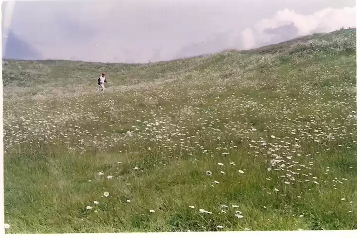 Photo of In and around Srinag