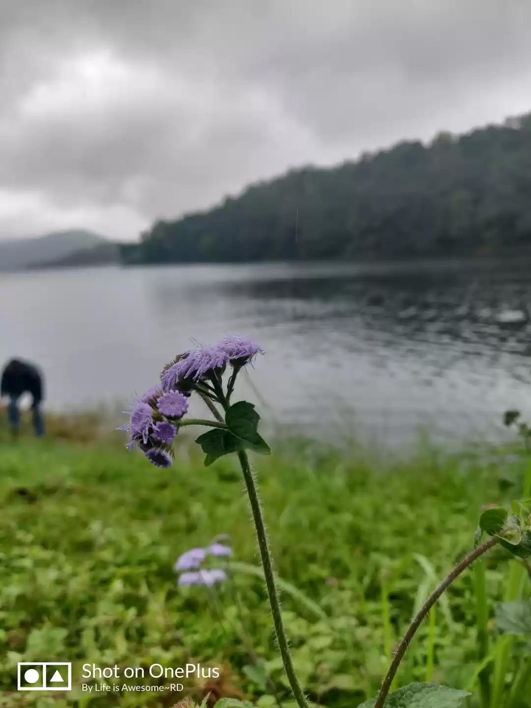 Photo of planning for Meghala