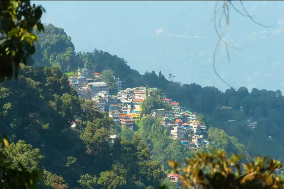 Photo of Trip to North bengal