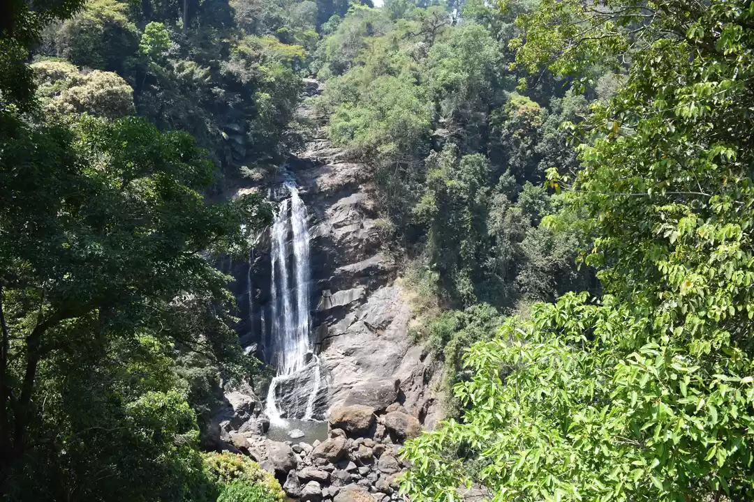 Photo of A day trip to Munnar