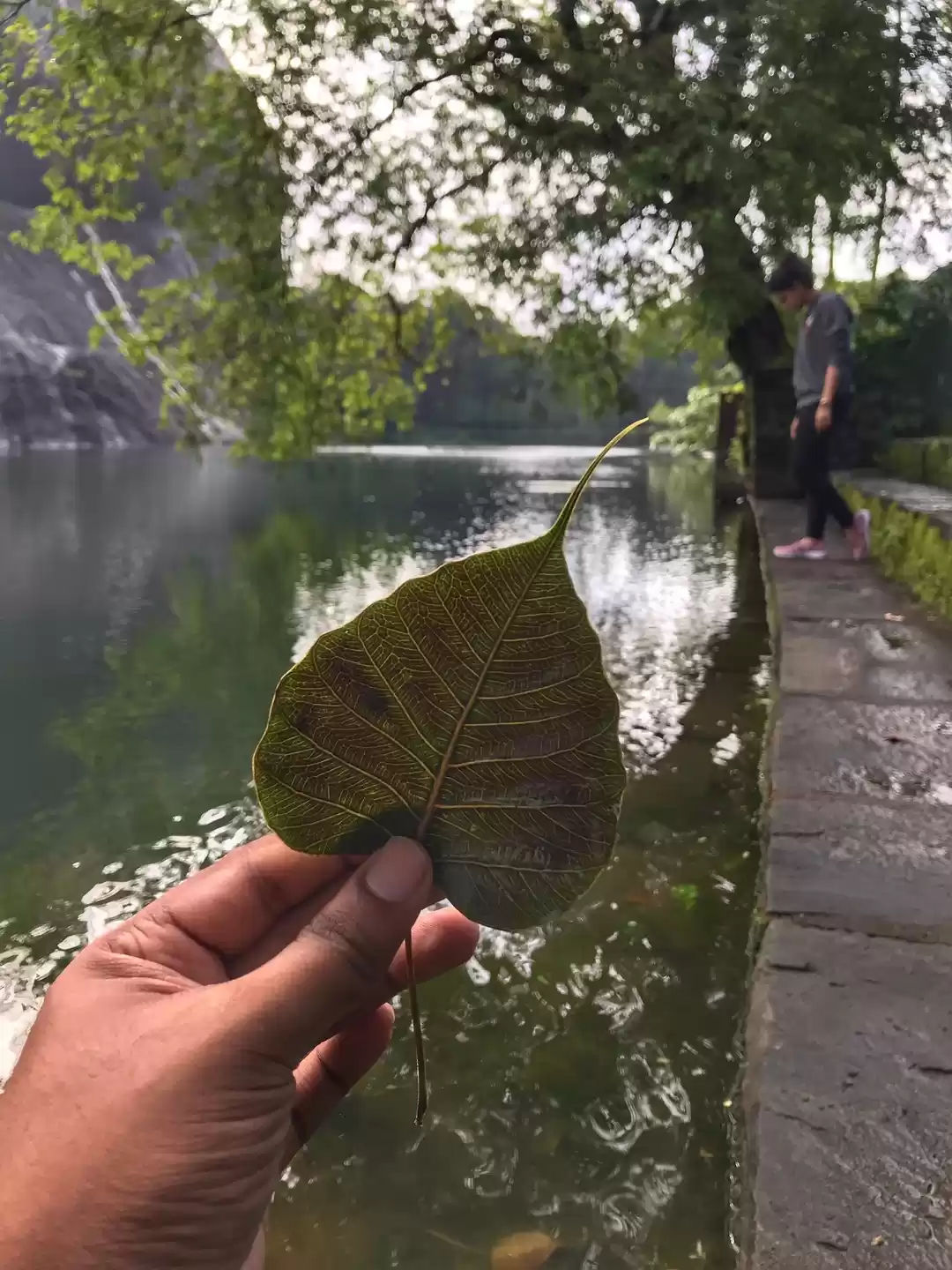 Photo of Lost in the mist of 