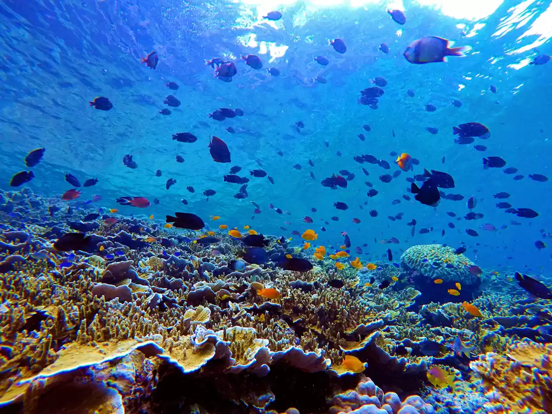 Photo of PHILLIPINES in 10 da