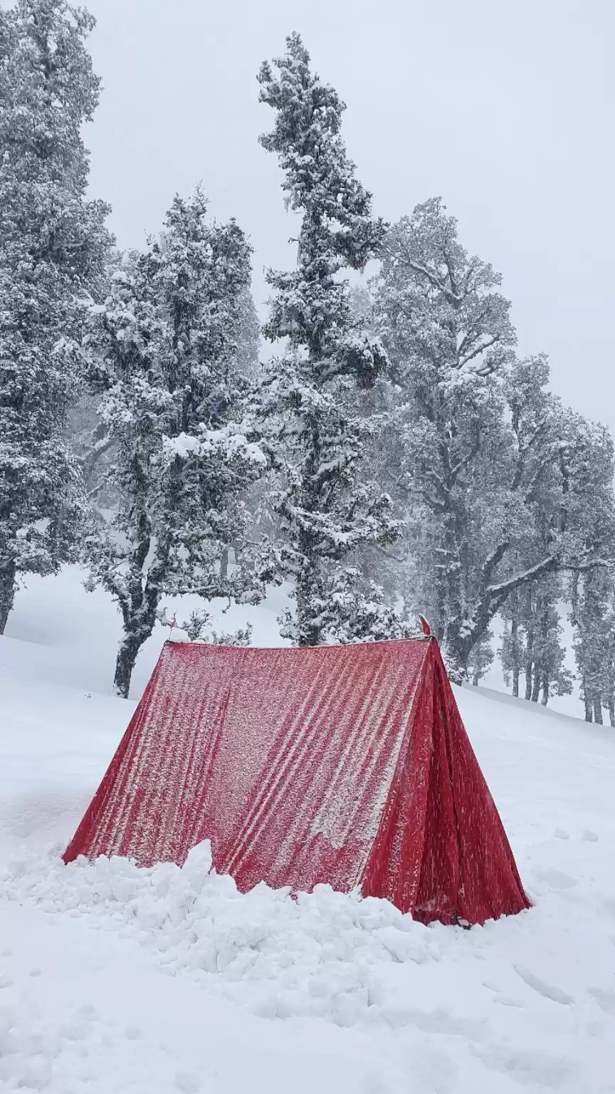 Photo of Kedarkantha base cam