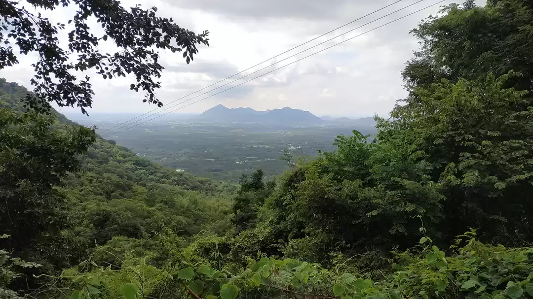 Photo of Kolli Hills - 70 Hai