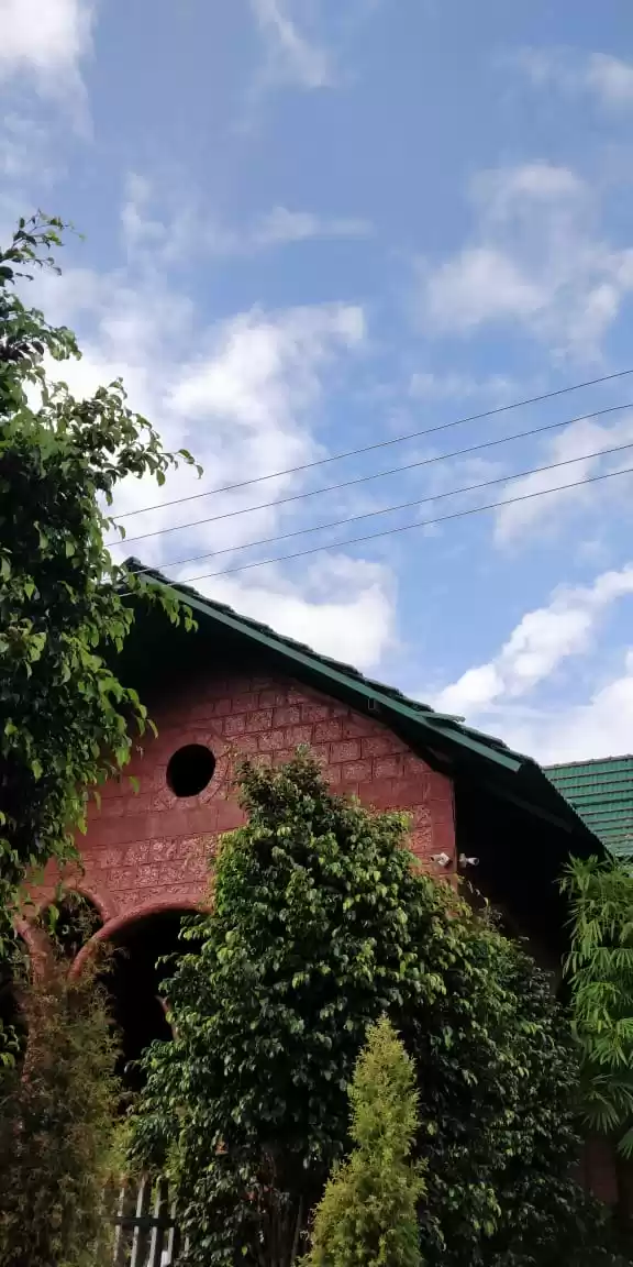 Photo of Heaven In Forest : D