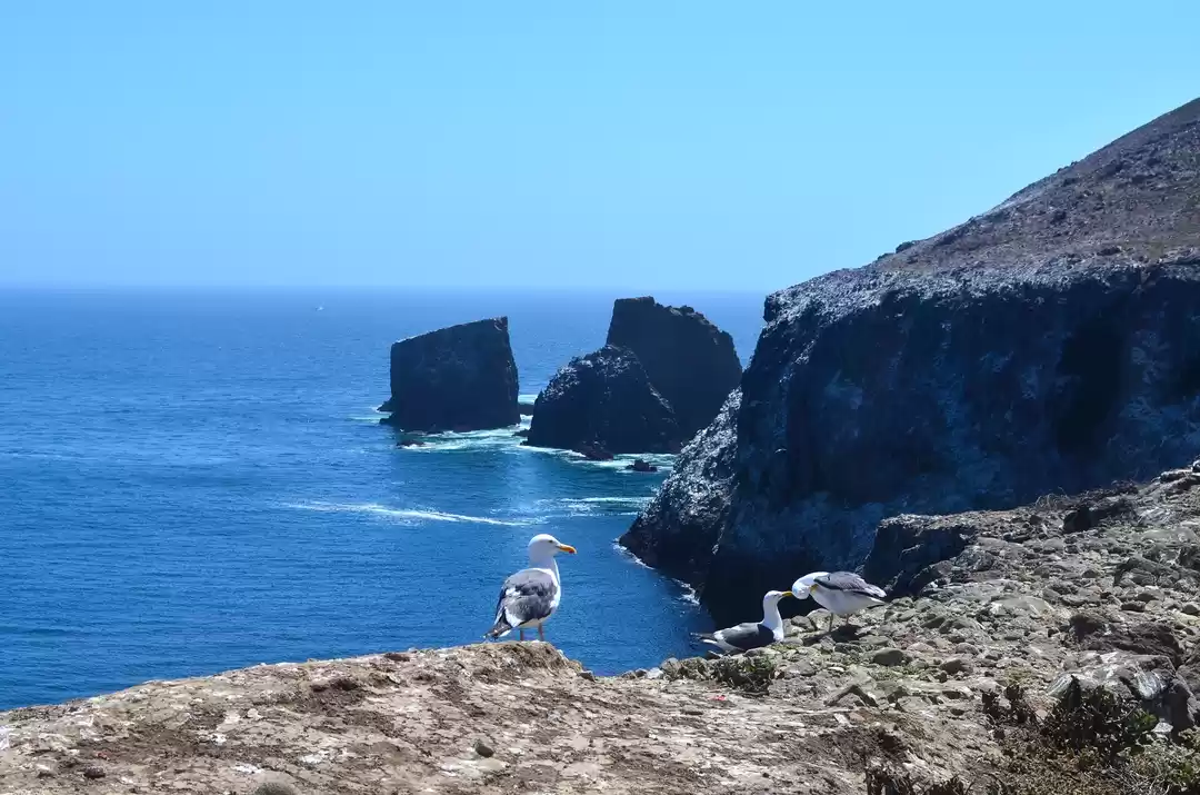 Photo of #offbeat USA #Anacap