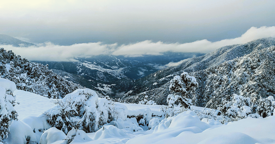 Photo of Brahmatal Trek: Enjo