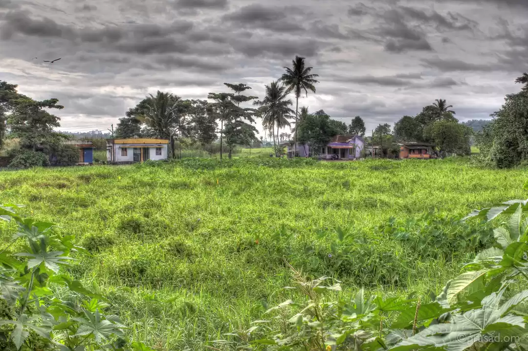 Photo of 10 Reasons to Visit 