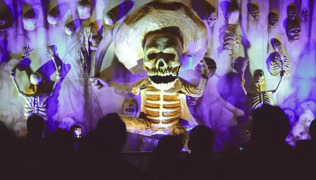 Photo of Culture Shock: Free-