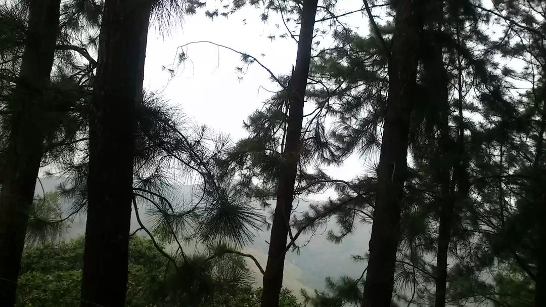 Photo of Vagamon: Bald and Be