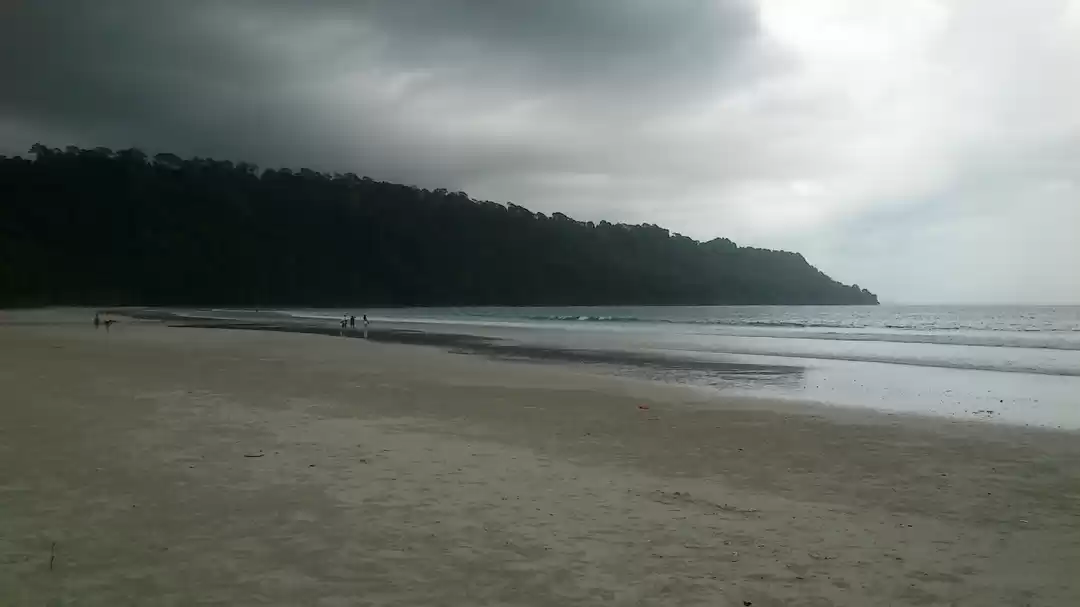 Photo of 10 Reasons to pick t