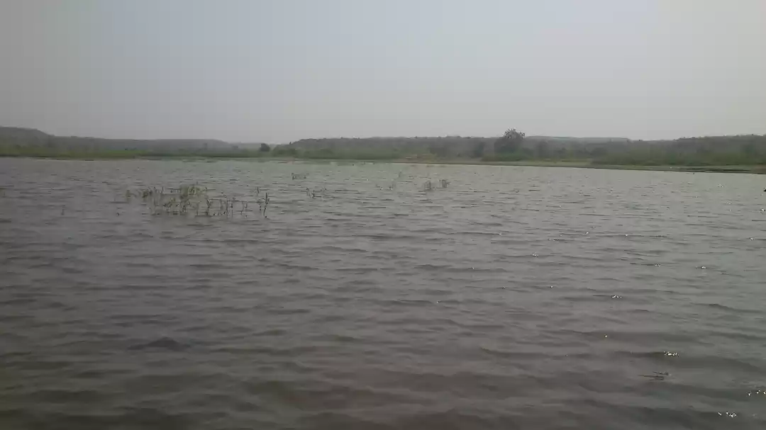 Photo of Ananthagiri Hills: A