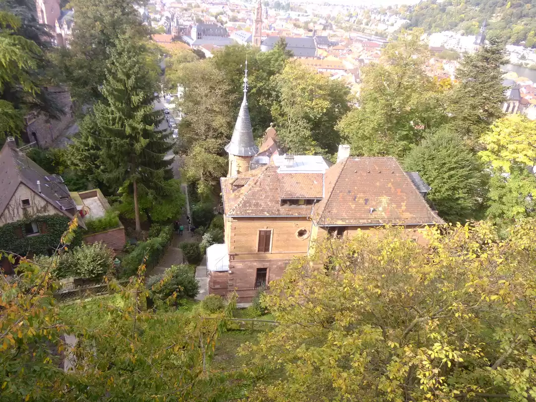 Photo of Heady Heidelberg