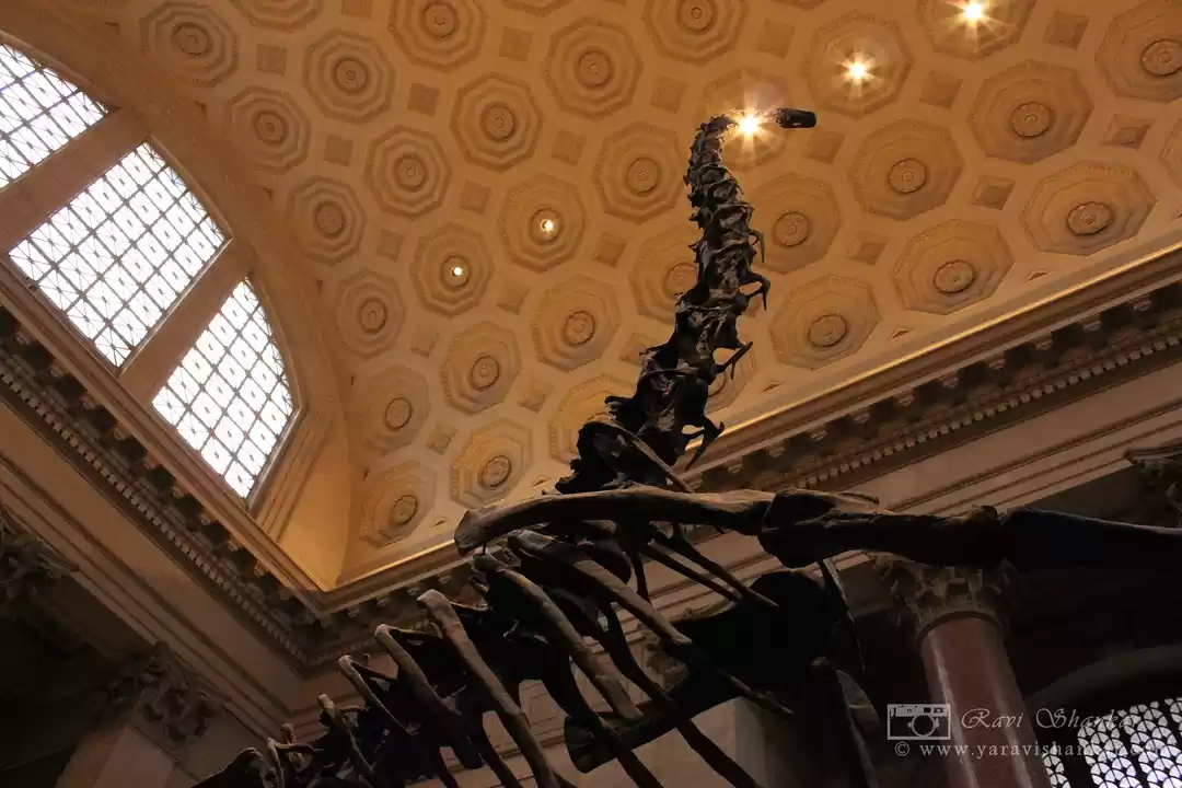 Photo of Road trip to New Yor