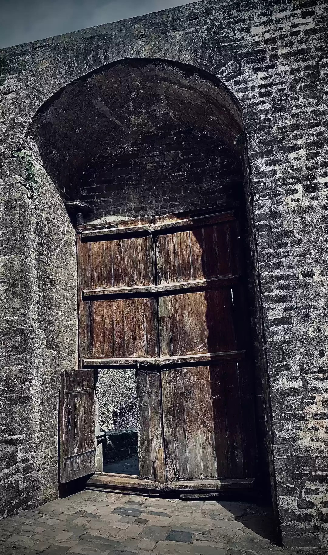 Photo of One of the Oldest Fo