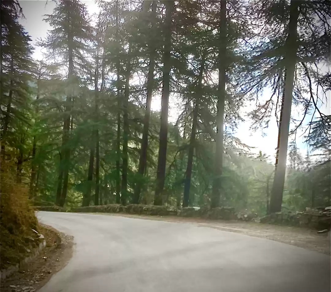 Photo of Charismatic Chail -