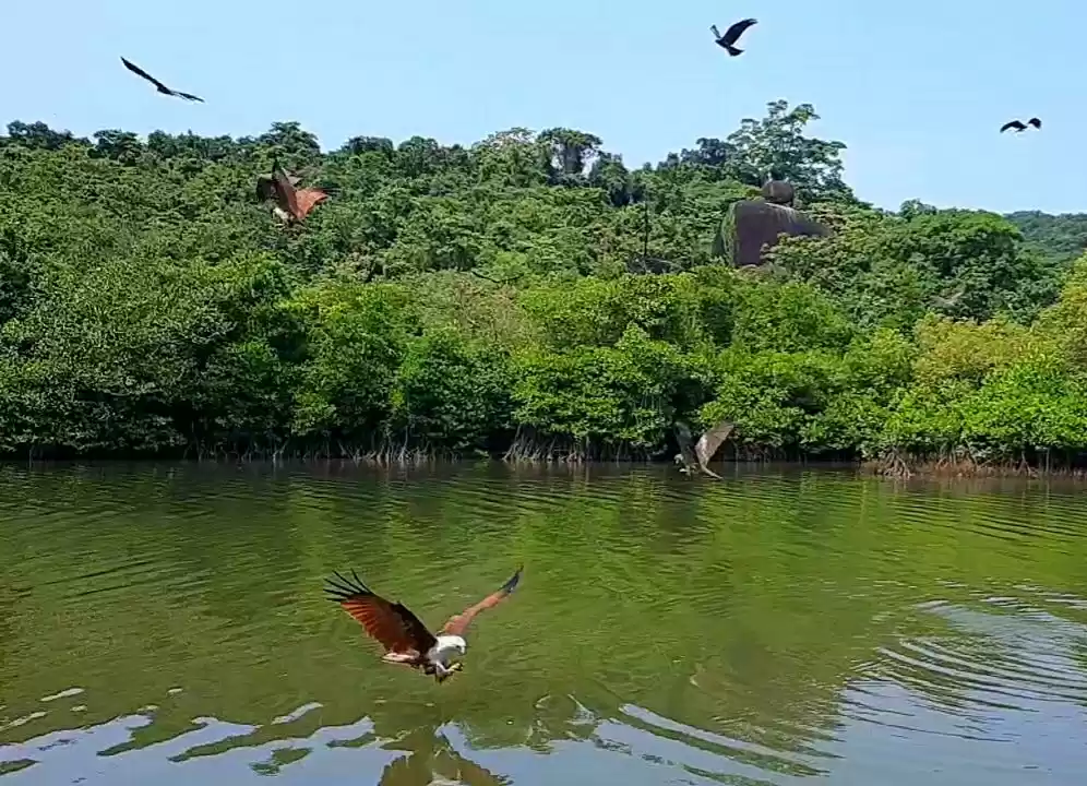 Photo of Palolem,more than a 