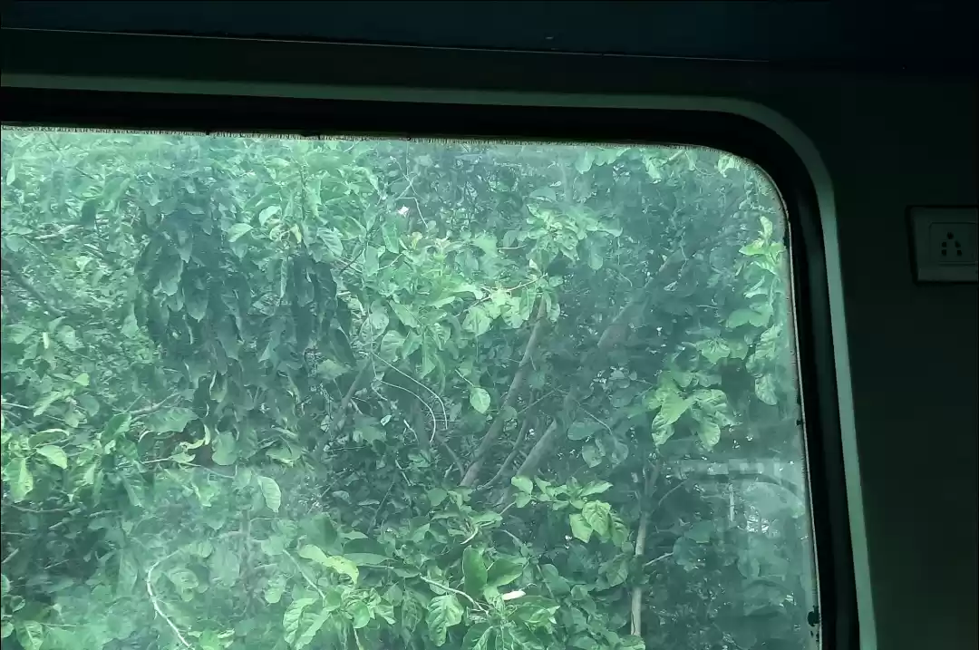 Photo of Life is the train an