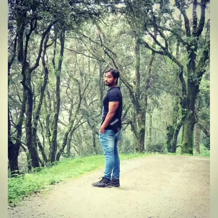 Photo of In mid of the woods