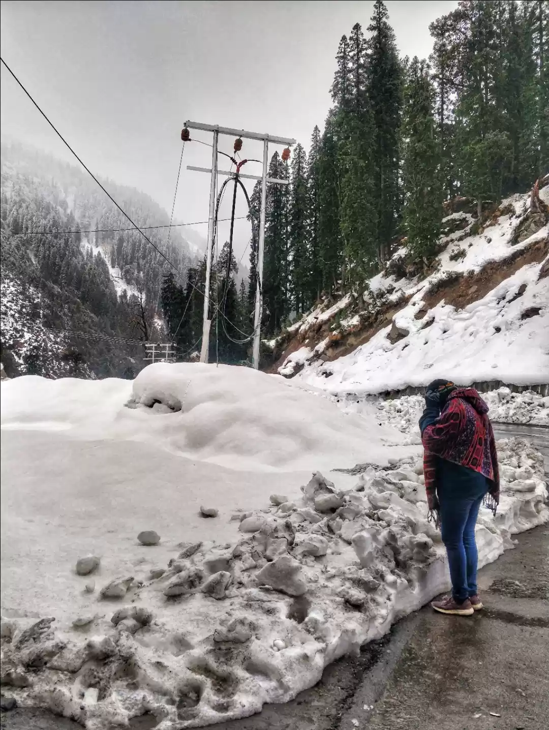 Photo of The White Wilderness