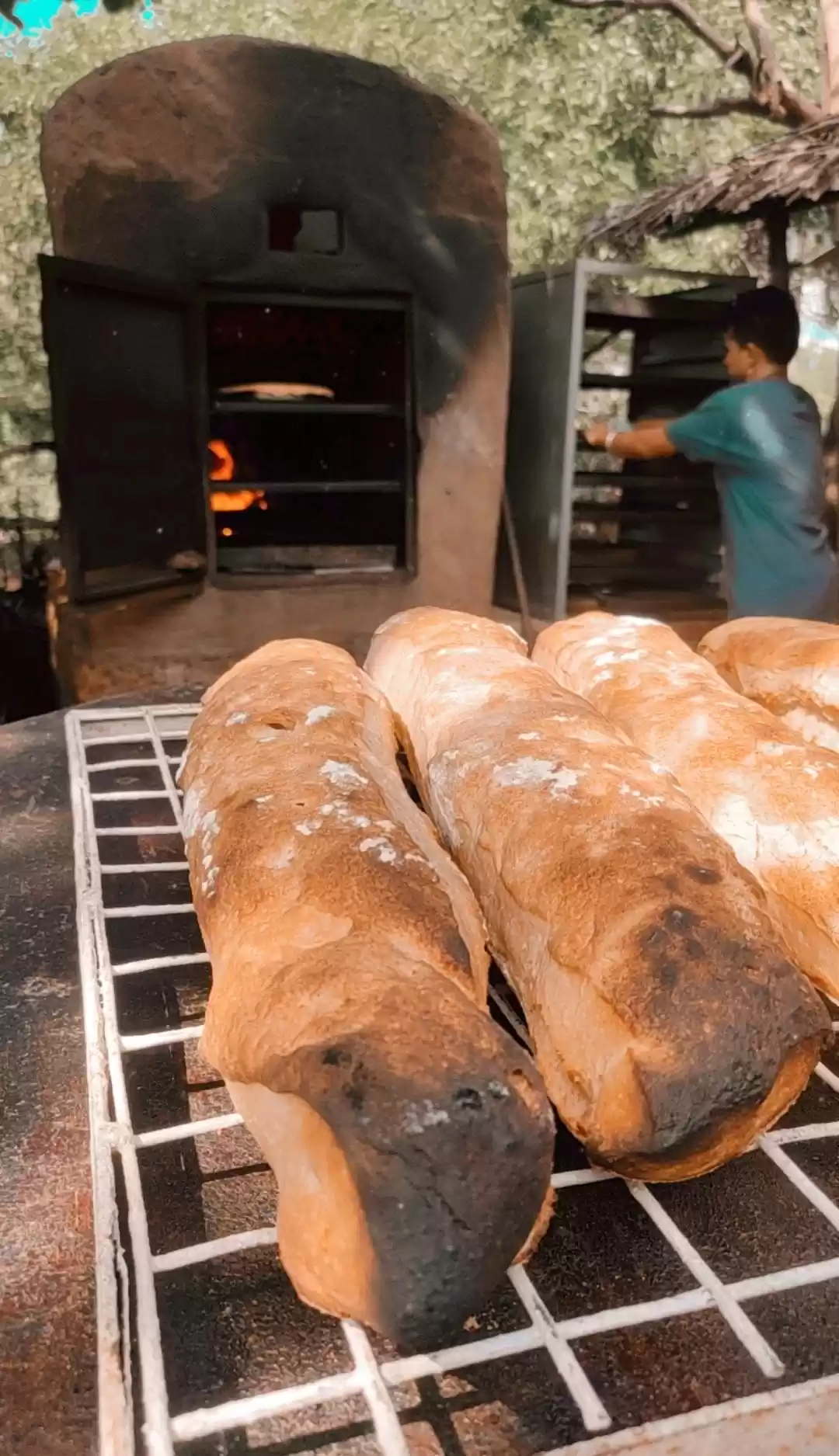 Photo of All You Can Eat In G